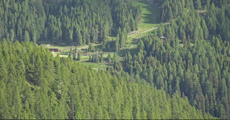 Webcam San Martino di Castrozza - Passo Rolle  - Ces - Malga Valcigolera