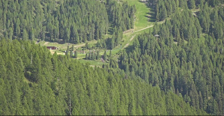 Webcam San Martino di Castrozza - Passo Rolle - Ces - Malga Valcigolera