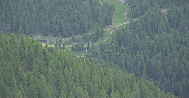 Webcam San Martino di Castrozza - Passo Rolle - Ces - Malga Valcigolera