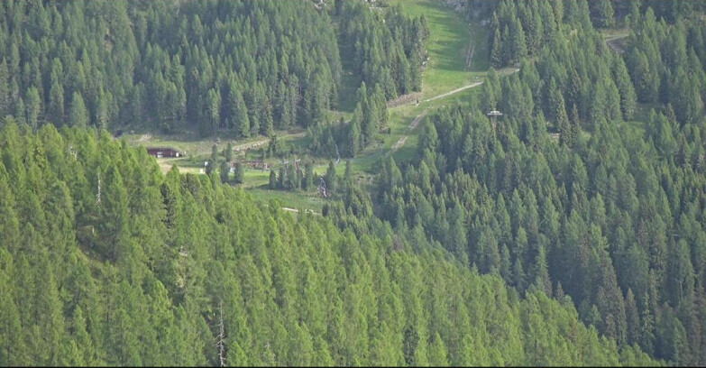 Webcam San Martino di Castrozza - Passo Rolle - Ces - Malga Valcigolera