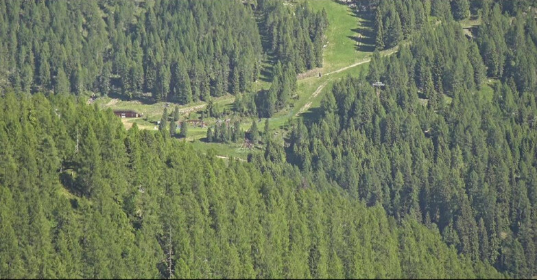 Webcam San Martino di Castrozza - Passo Rolle - Ces - Malga Valcigolera