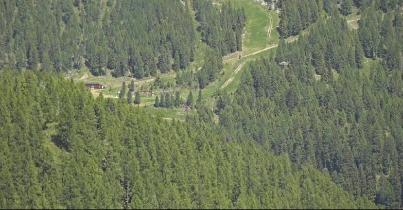 Webcam San Martino di Castrozza - Passo Rolle - Ces - Malga Valcigolera