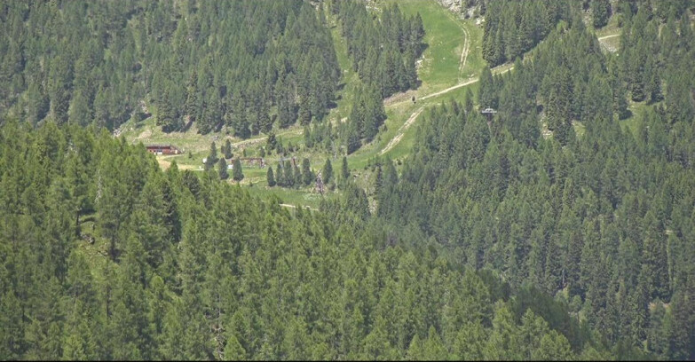 Webcam San Martino di Castrozza - Passo Rolle - Ces - Malga Valcigolera