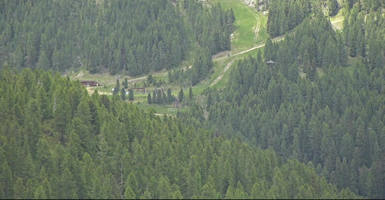Webcam San Martino di Castrozza - Passo Rolle - Ces - Malga Valcigolera