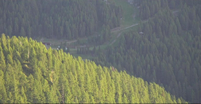 Webcam San Martino di Castrozza - Passo Rolle - Ces - Malga Valcigolera