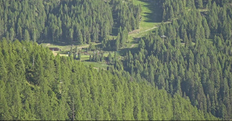 Webcam San Martino di Castrozza - Passo Rolle - Ces - Malga Valcigolera
