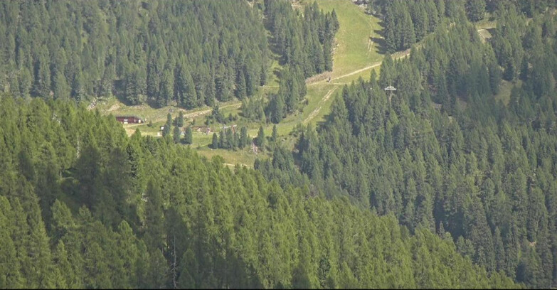 Webcam San Martino di Castrozza - Passo Rolle - Ces - Malga Valcigolera