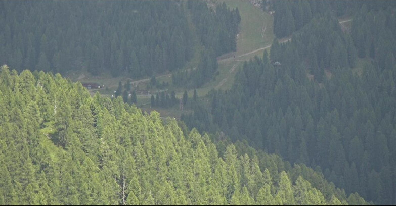 Webcam San Martino di Castrozza - Passo Rolle - Ces - Malga Valcigolera