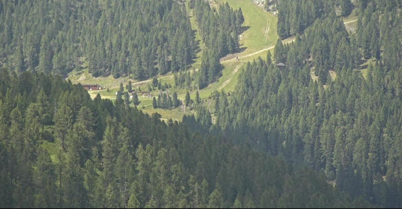 Webcam San Martino di Castrozza - Passo Rolle - Ces - Malga Valcigolera