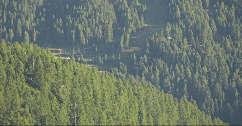 Webcam San Martino di Castrozza - Passo Rolle - Ces - Malga Valcigolera
