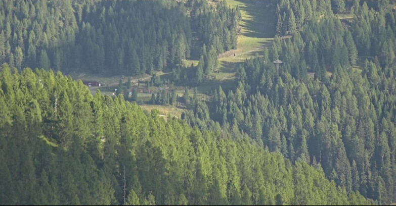 Webcam San Martino di Castrozza - Passo Rolle - Ces - Malga Valcigolera