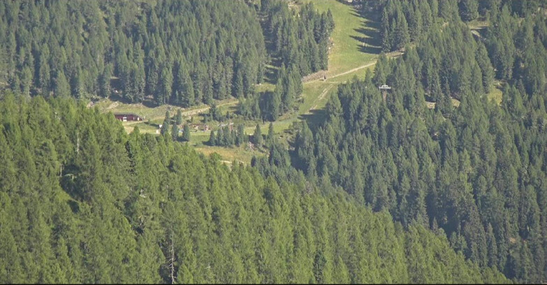 Webcam San Martino di Castrozza - Passo Rolle - Ces - Malga Valcigolera
