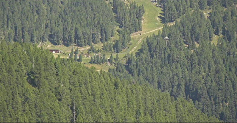 Webcam San Martino di Castrozza - Passo Rolle - Ces - Malga Valcigolera