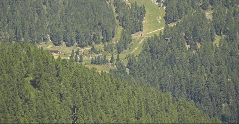 Webcam San Martino di Castrozza - Passo Rolle - Ces - Malga Valcigolera