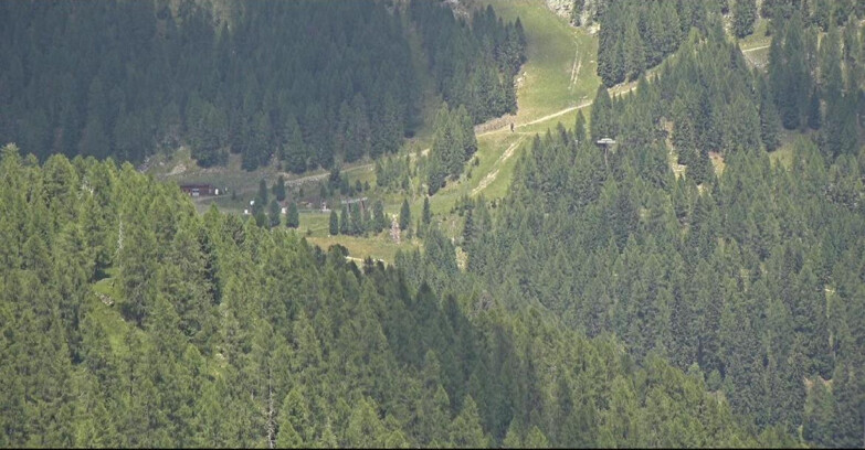 Webcam San Martino di Castrozza - Passo Rolle - Ces - Malga Valcigolera