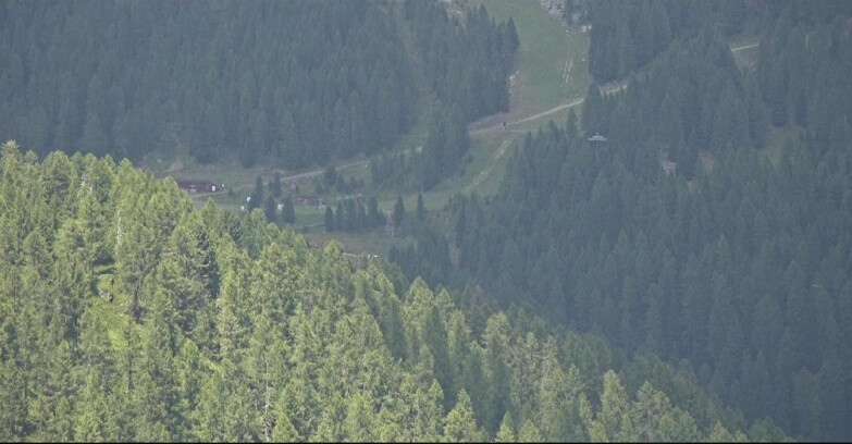 Webcam San Martino di Castrozza - Passo Rolle - Ces - Malga Valcigolera