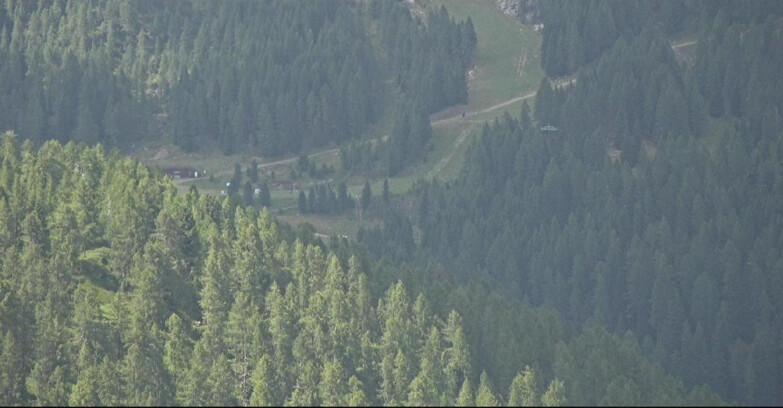Webcam San Martino di Castrozza - Passo Rolle - Ces - Malga Valcigolera