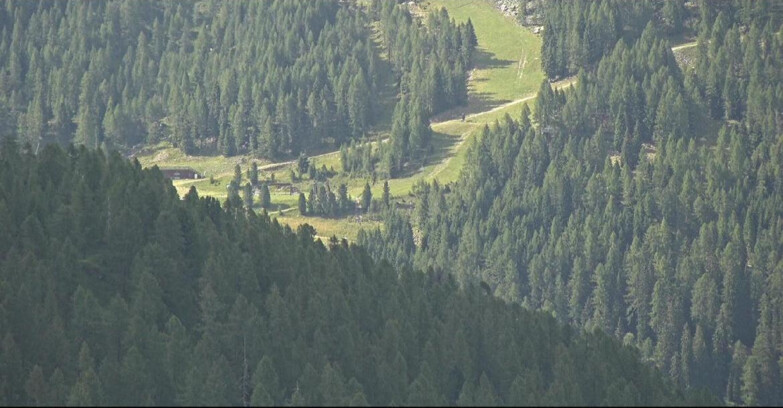 Webcam San Martino di Castrozza - Passo Rolle - Ces - Malga Valcigolera