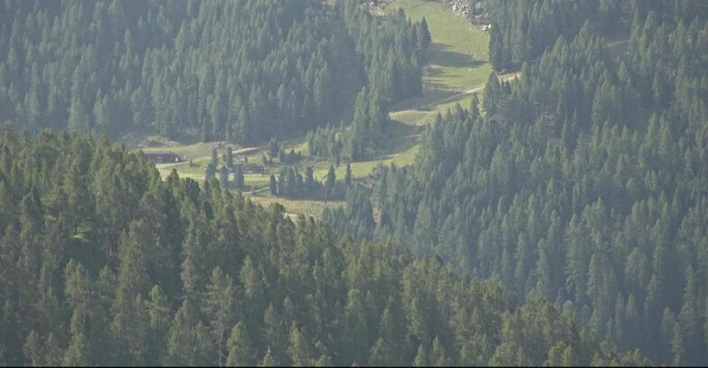 Webcam San Martino di Castrozza - Passo Rolle - Ces - Malga Valcigolera