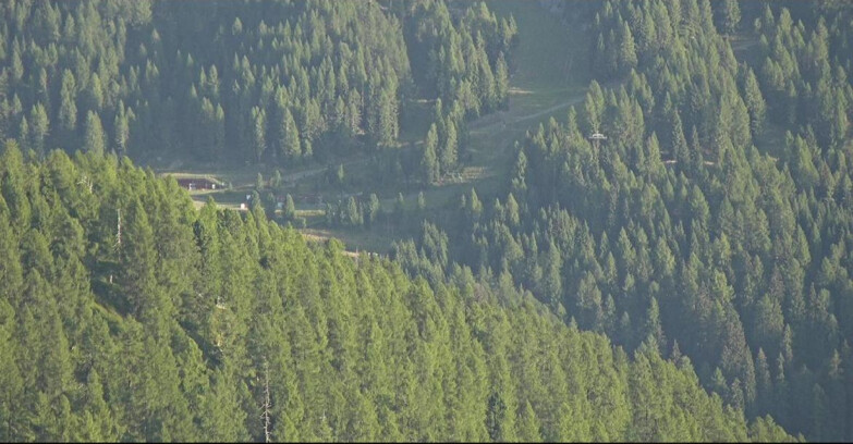 Webcam San Martino di Castrozza - Passo Rolle - Ces - Malga Valcigolera