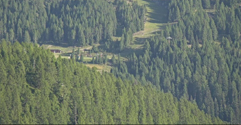 Webcam San Martino di Castrozza - Passo Rolle - Ces - Malga Valcigolera