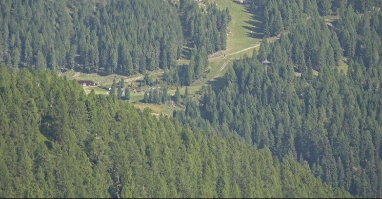Webcam San Martino di Castrozza - Passo Rolle - Ces - Malga Valcigolera
