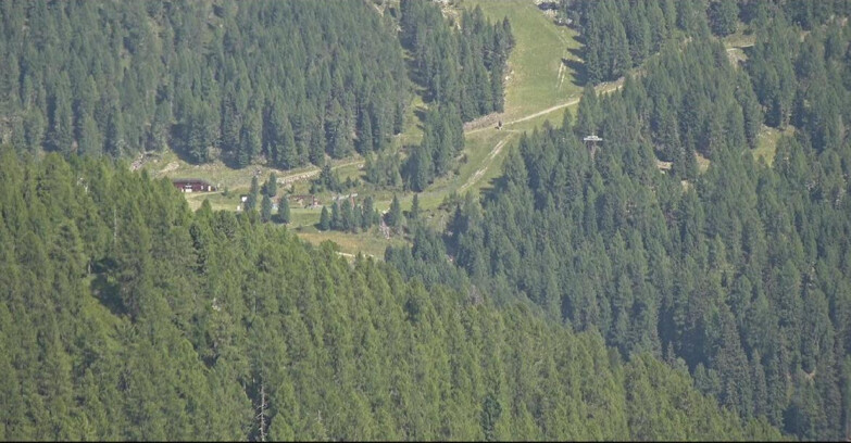 Webcam San Martino di Castrozza - Passo Rolle - Ces - Malga Valcigolera