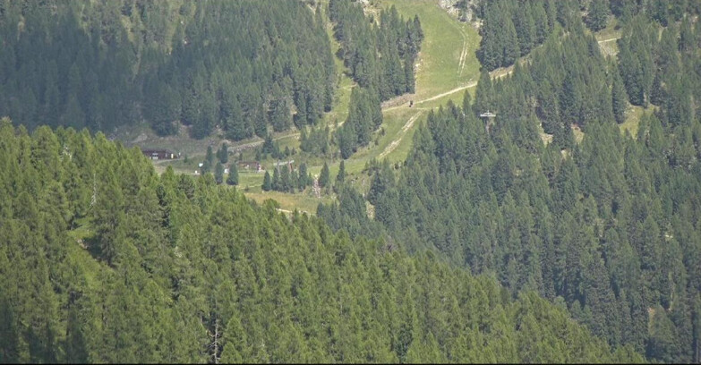 Webcam San Martino di Castrozza - Passo Rolle - Ces - Malga Valcigolera