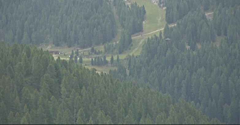 Webcam San Martino di Castrozza - Passo Rolle - Ces - Malga Valcigolera