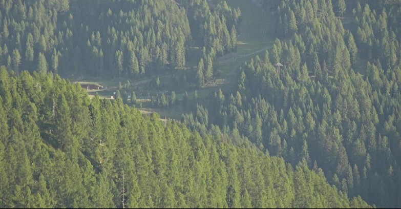Webcam San Martino di Castrozza - Passo Rolle - Ces - Malga Valcigolera