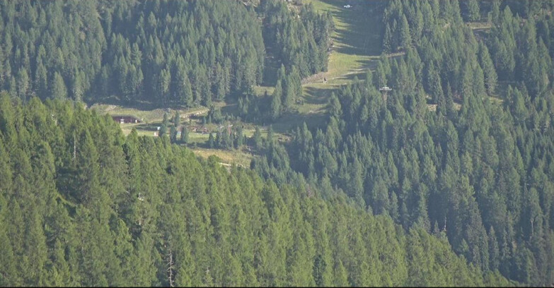 Webcam San Martino di Castrozza - Passo Rolle - Ces - Malga Valcigolera
