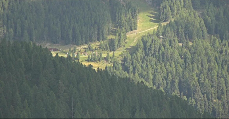 Webcam Сан-Мартино-ди-Кастроцца - Пассо-Ролле - Ces - Malga Valcigolera