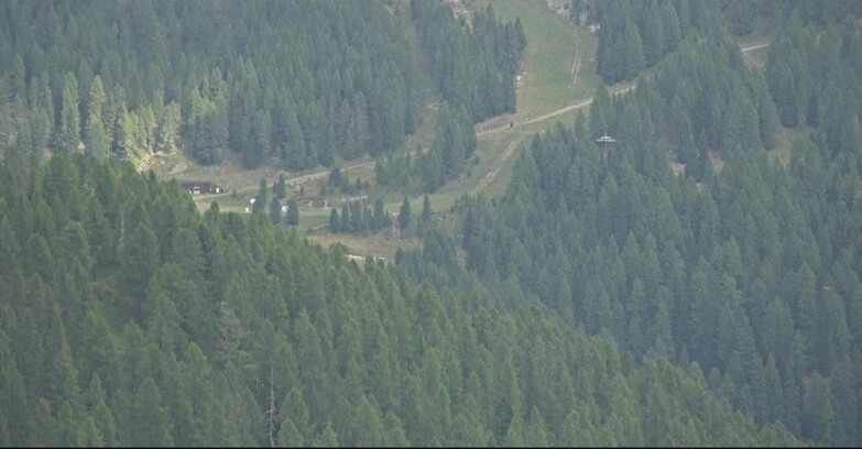Webcam Сан-Мартино-ди-Кастроцца - Пассо-Ролле - Ces - Malga Valcigolera