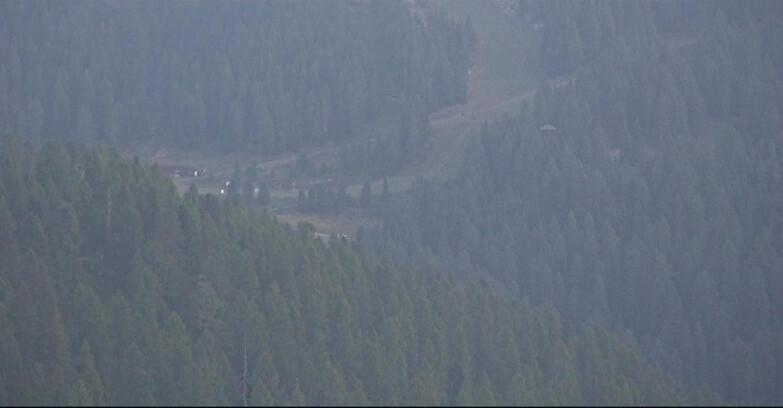 Webcam Сан-Мартино-ди-Кастроцца - Пассо-Ролле - Ces - Malga Valcigolera