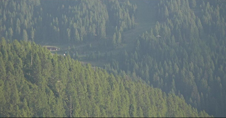 Webcam Сан-Мартино-ди-Кастроцца - Пассо-Ролле - Ces - Malga Valcigolera