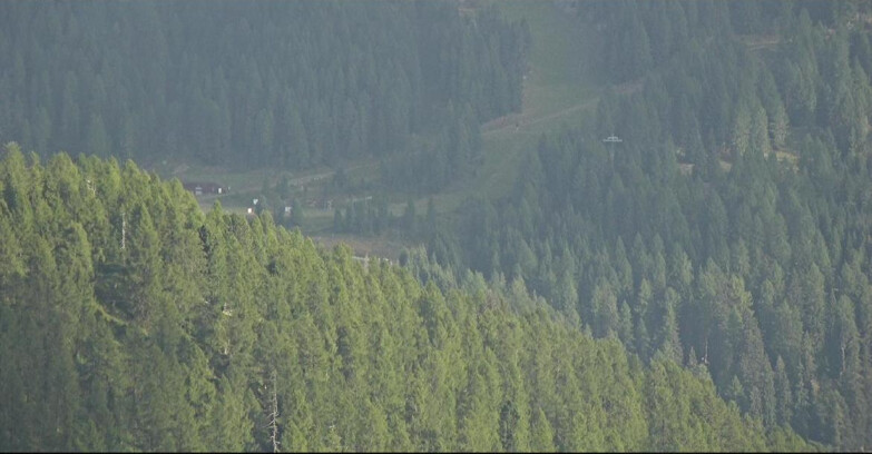 Webcam Сан-Мартино-ди-Кастроцца - Пассо-Ролле - Ces - Malga Valcigolera