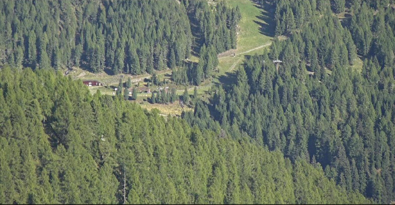 Webcam San Martino di Castrozza - Passo Rolle  - Ces - Malga Valcigolera