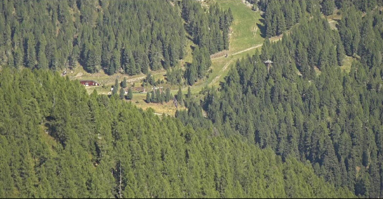 Webcam San Martino di Castrozza - Passo Rolle  - Ces - Malga Valcigolera