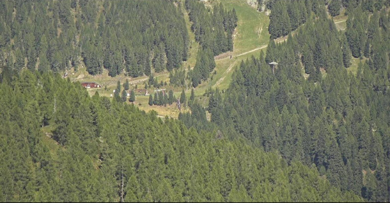 Webcam San Martino di Castrozza - Passo Rolle  - Ces - Malga Valcigolera