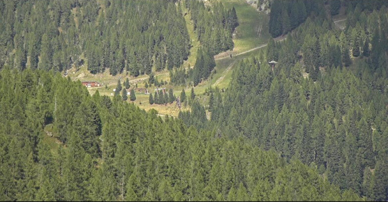 Webcam San Martino di Castrozza - Passo Rolle  - Ces - Malga Valcigolera