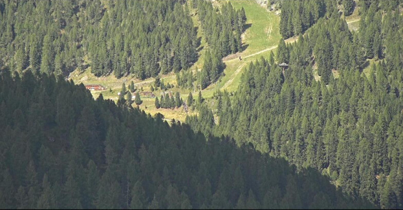 Webcam San Martino di Castrozza - Passo Rolle  - Ces - Malga Valcigolera