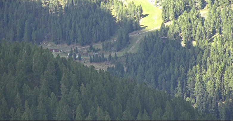 Webcam San Martino di Castrozza - Passo Rolle  - Ces - Malga Valcigolera