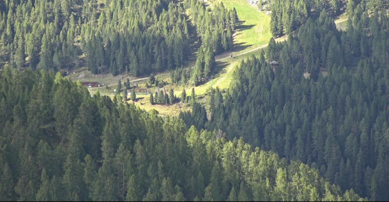 Webcam San Martino di Castrozza - Passo Rolle  - Ces - Malga Valcigolera