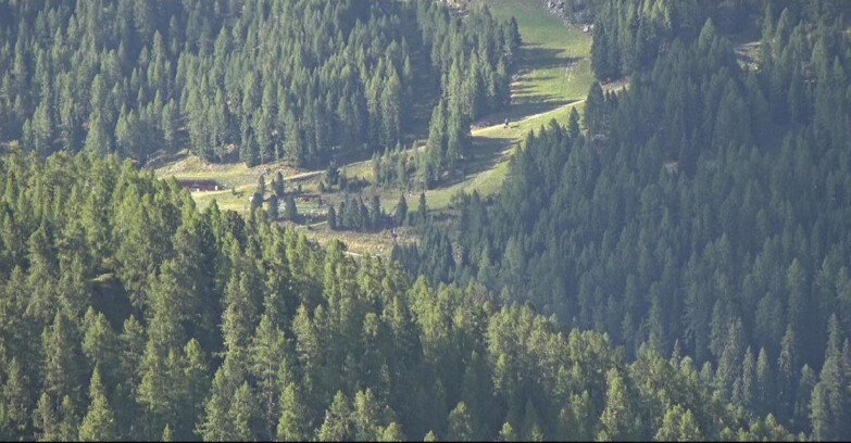 Webcam San Martino di Castrozza - Passo Rolle  - Ces - Malga Valcigolera