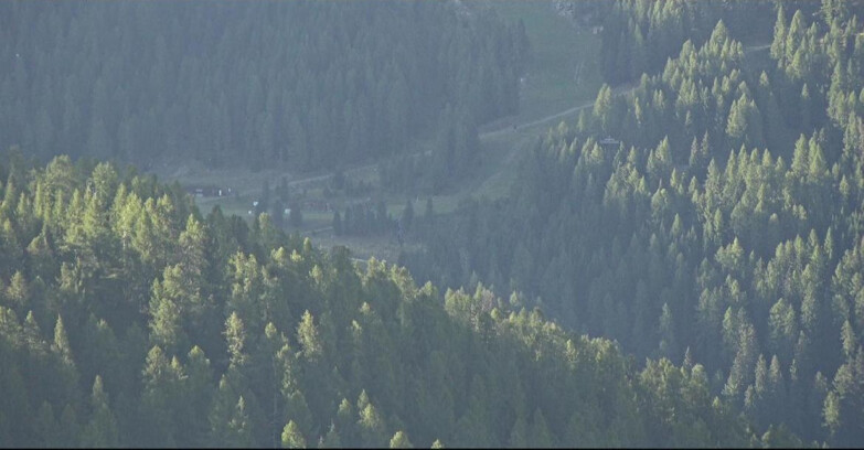 Webcam San Martino di Castrozza - Passo Rolle  - Ces - Malga Valcigolera