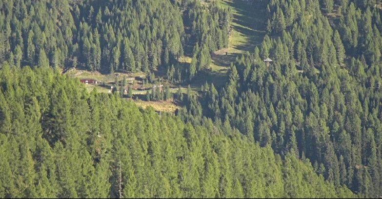 Webcam San Martino di Castrozza - Passo Rolle  - Ces - Malga Valcigolera