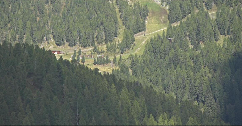 Webcam San Martino di Castrozza - Passo Rolle - Ces - Malga Valcigolera