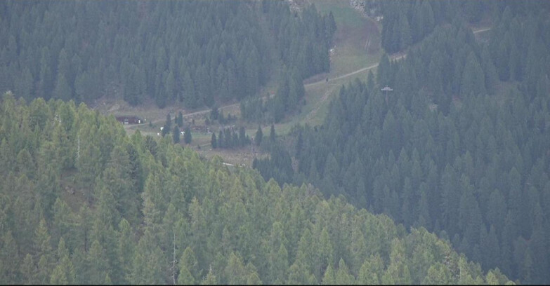 Webcam San Martino di Castrozza - Passo Rolle - Ces - Malga Valcigolera