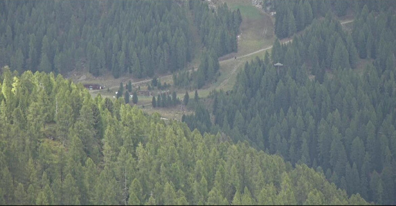 Webcam San Martino di Castrozza - Passo Rolle - Ces - Malga Valcigolera