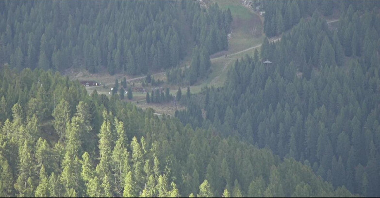 Webcam San Martino di Castrozza - Passo Rolle - Ces - Malga Valcigolera